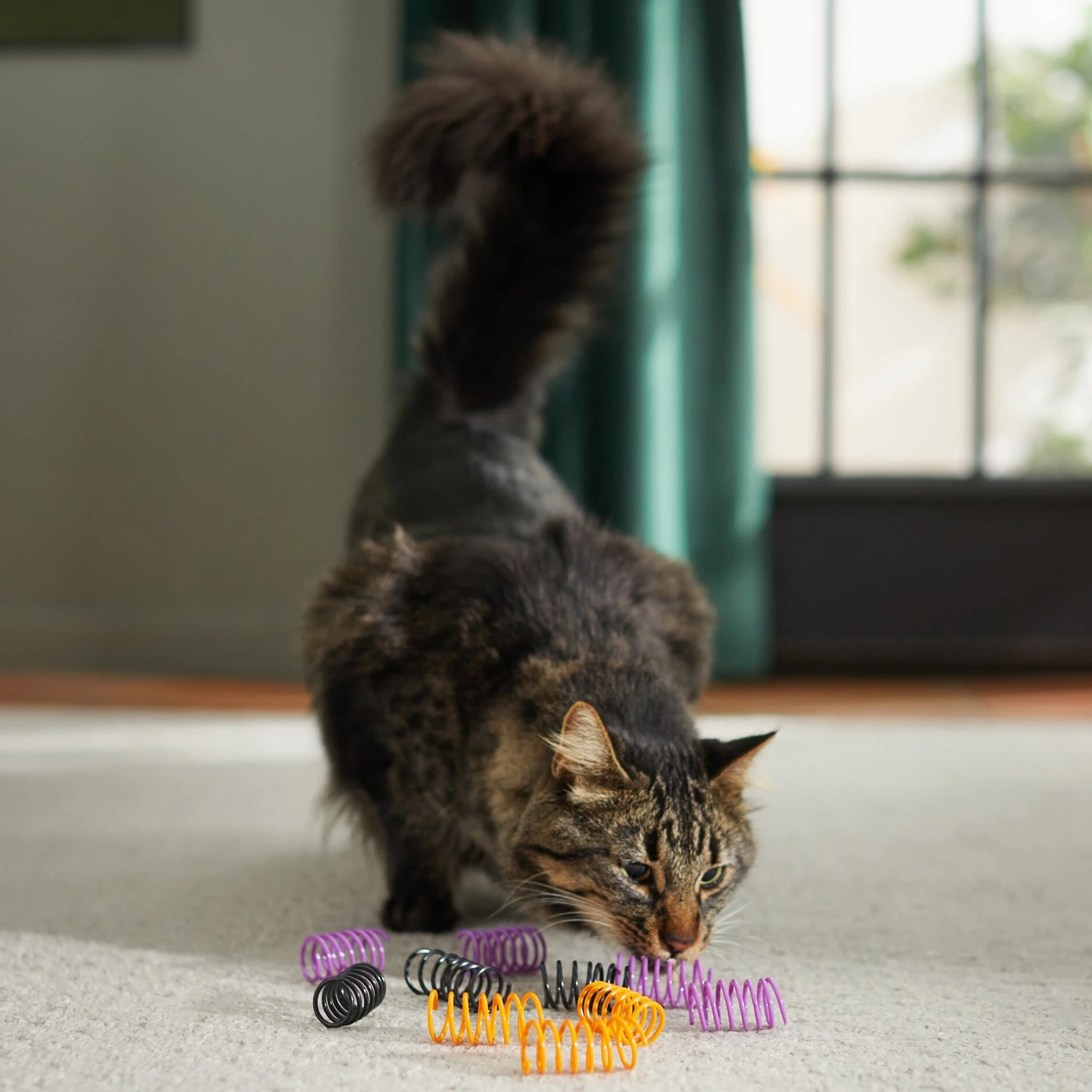 Frisco Halloween Plastic Springs Cat Toy - Image 3