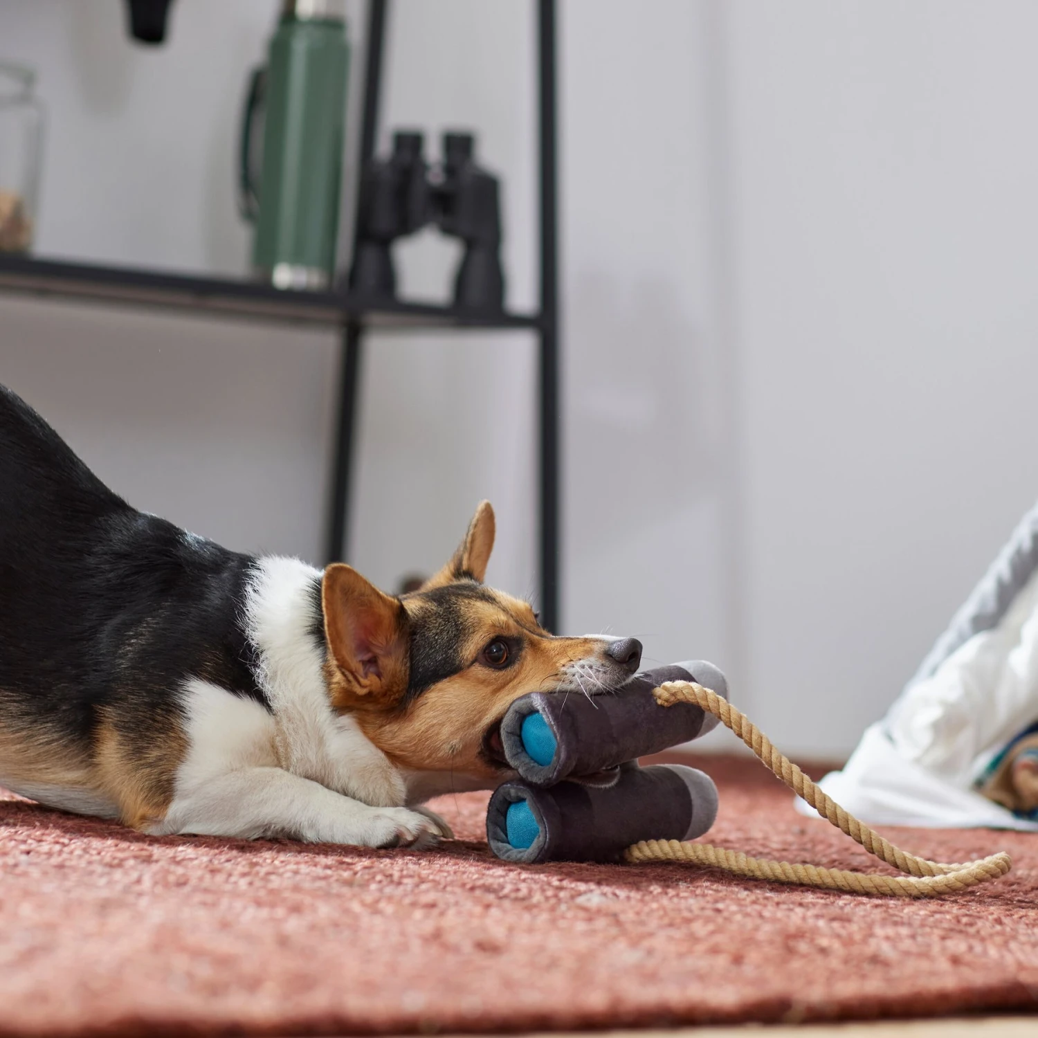 Frisco Camping Binoculars Plush With Rope Squeaky Dog Toy - Image 3