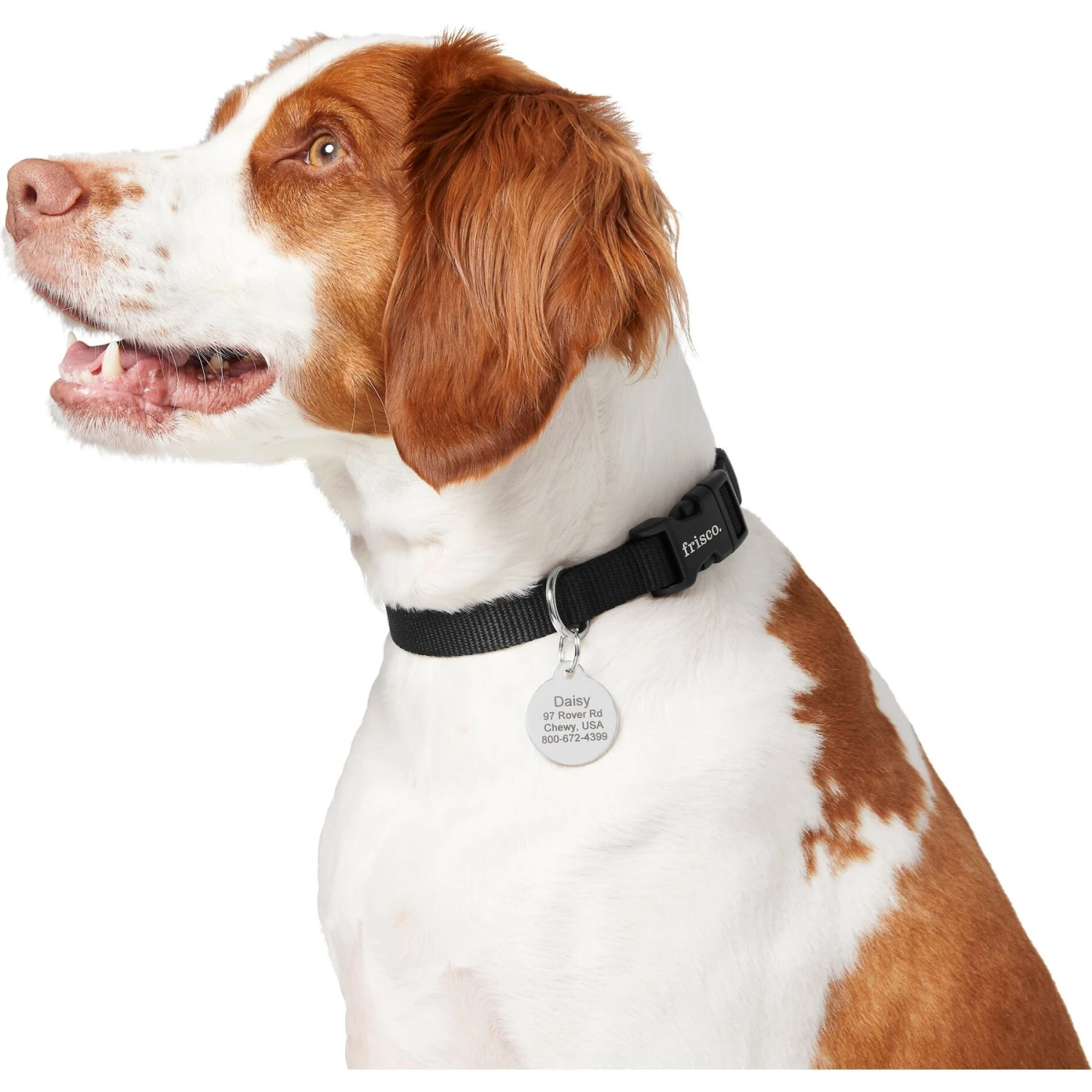Frisco Chewy Stainless Steel Personalized Dog & Cat ID Tag With Enamel Infill, Round - Image 4