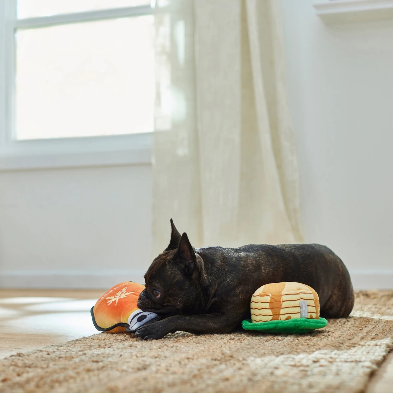 Frisco Fall Pancakes & Maple Syrup Plush Squeaky Dog Toy, 2 Count - Image 3