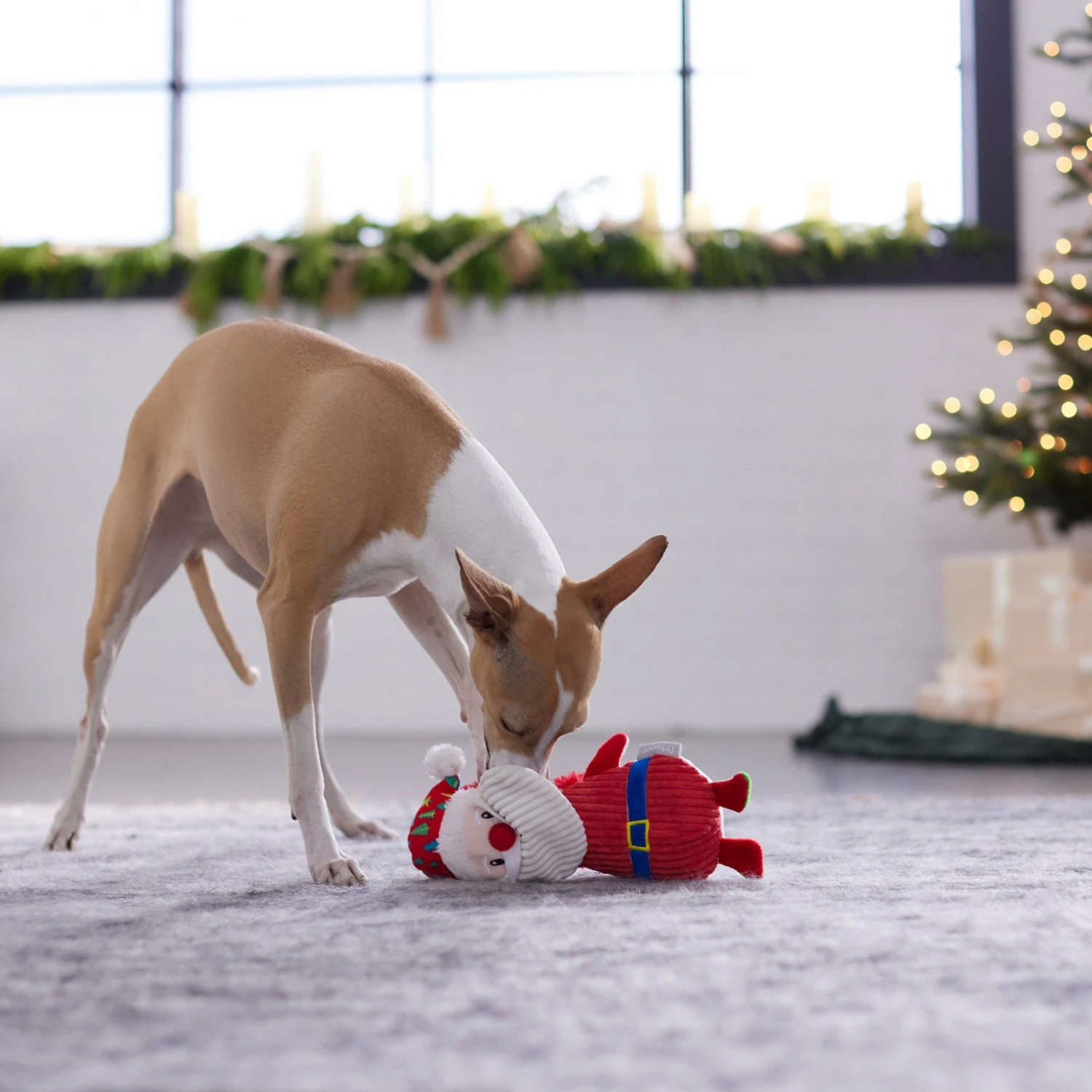 Frisco Holiday Santa & Snowman Reversible Plush Squeaky Dog Toy - Image 4