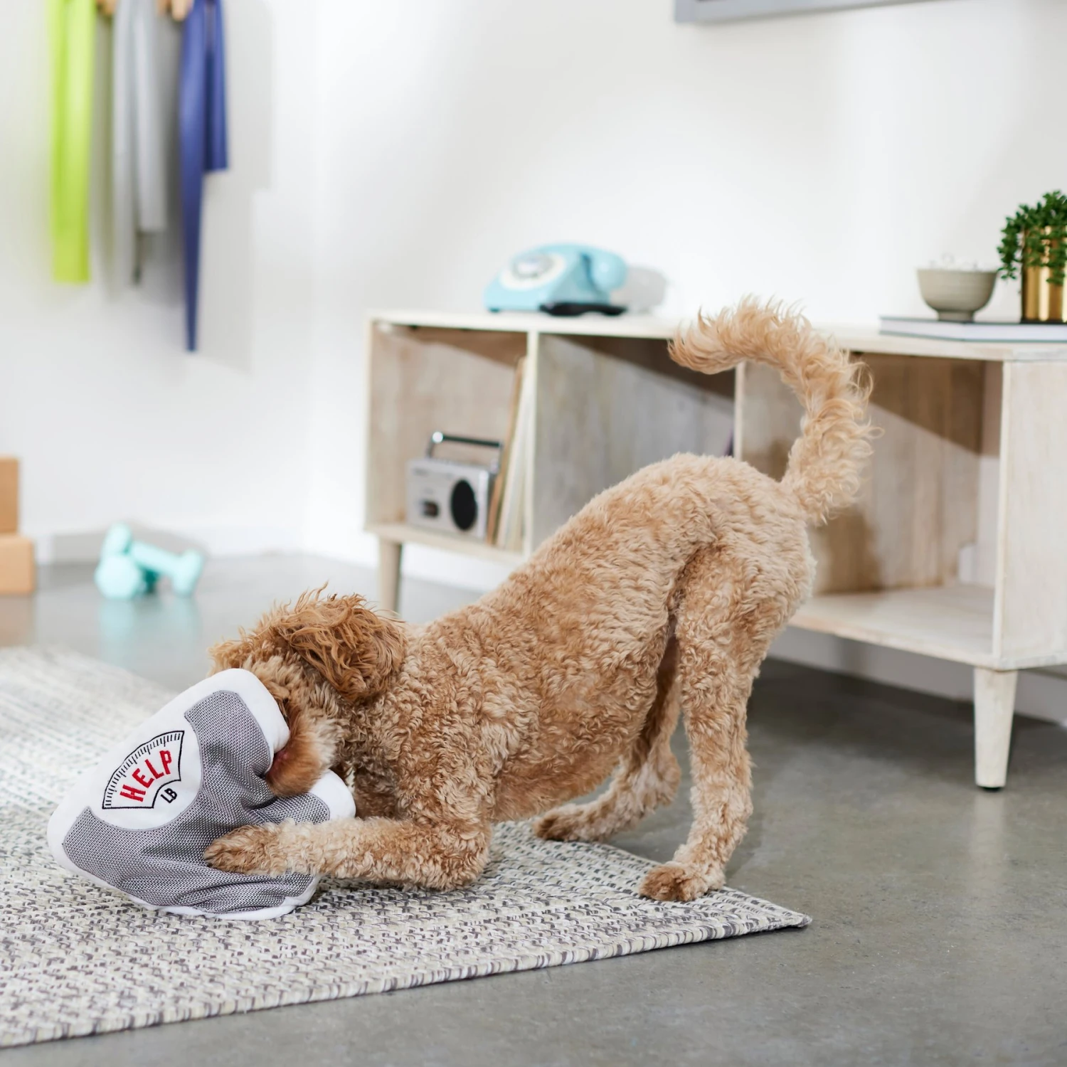 Frisco Scale Plush Squeaky Dog Toy - Image 3