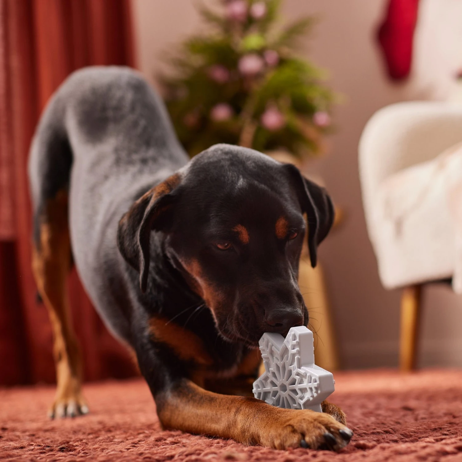 Frisco Holiday Nylon Snowflake Dog Chew Toy, Peanut Butter Flavor, Medium - Image 3