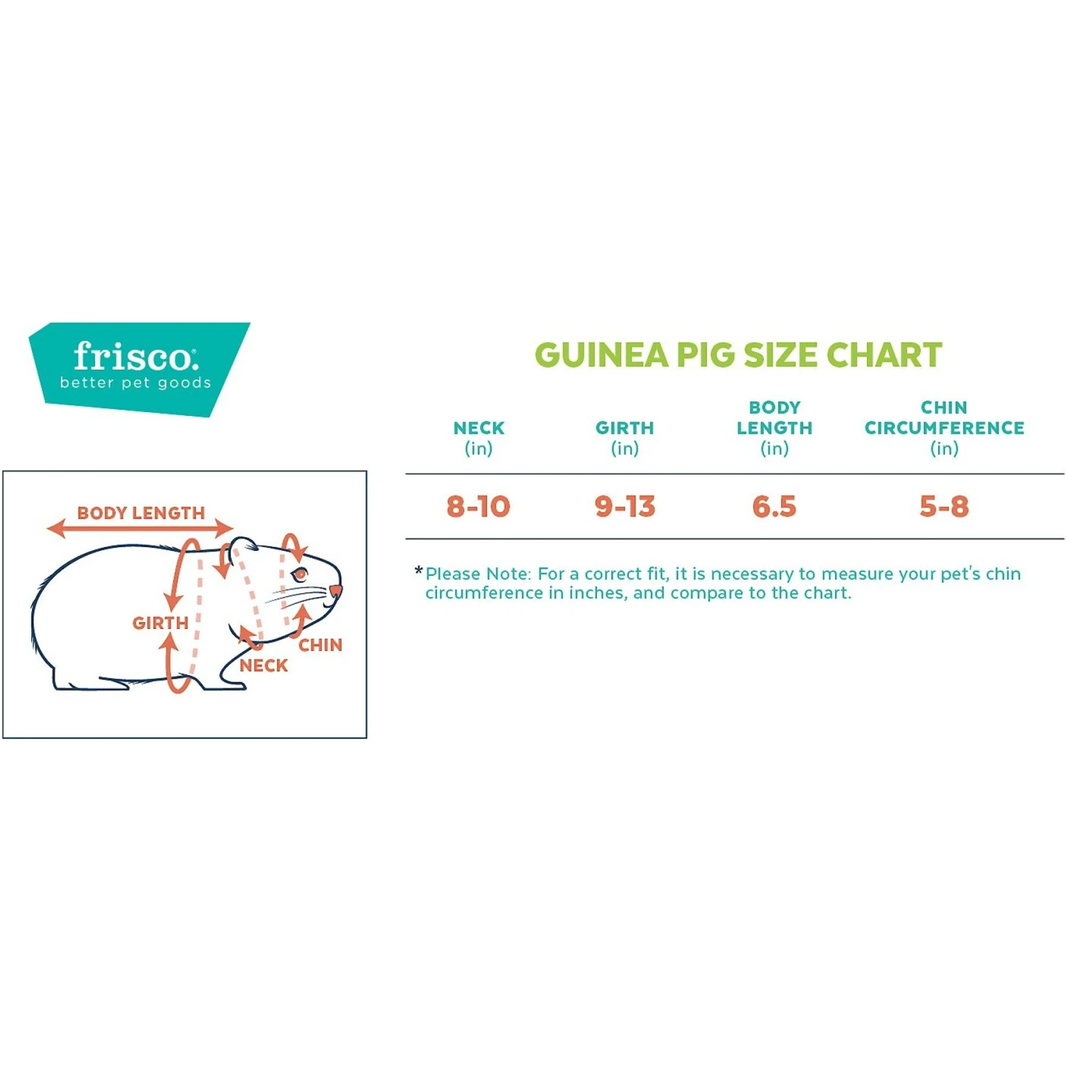 Frisco Guinea Pig St. Patrick's Day Costume - Image 2