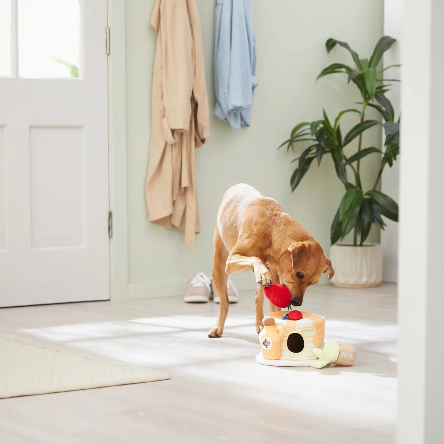 Frisco Brunch Pancake Hide & Seek Puzzle Plush Squeaky Dog Toy - Image 4