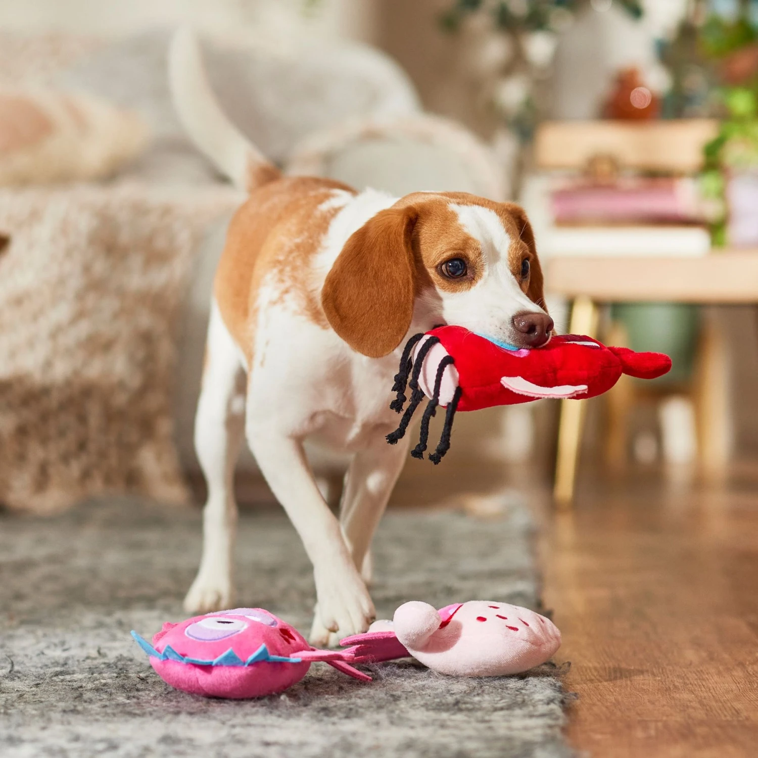 Frisco Valentine Love Monsters Plush Squeaky Dog Toy - Image 3