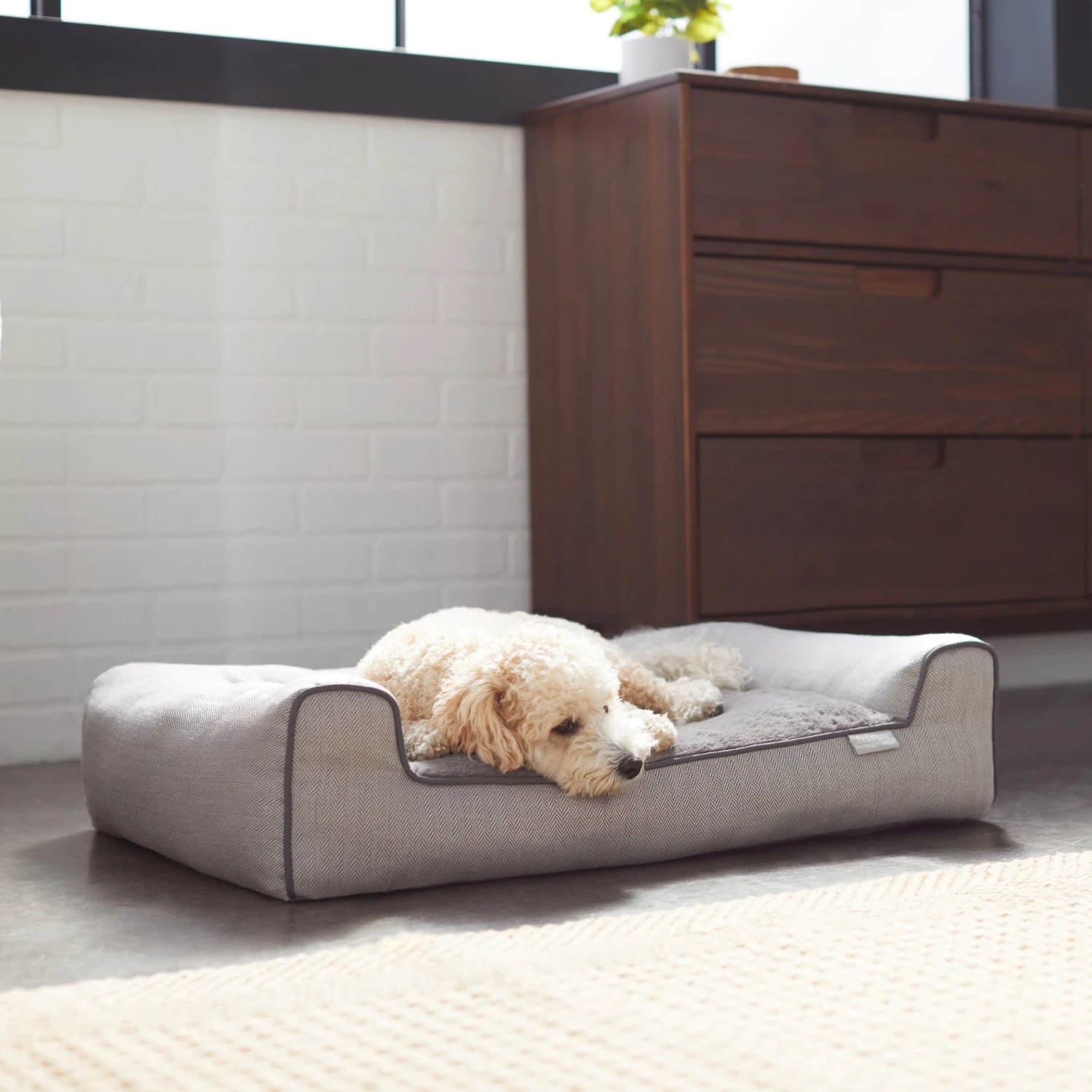 Frisco Herringbone Modern Couch Dog & Cat Bed