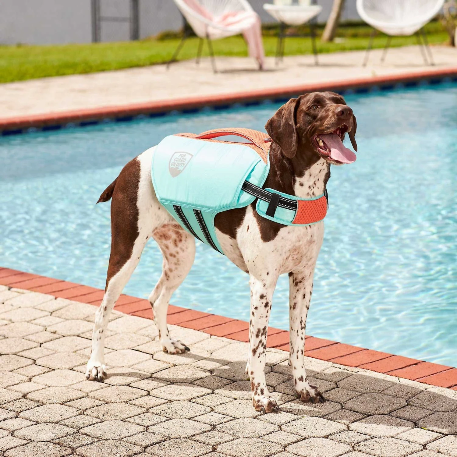 Frisco Active Dog Life Jacket & Frisco Foam Rubber Floating Fetch Ball No Squeak Dog Toy - Image 4