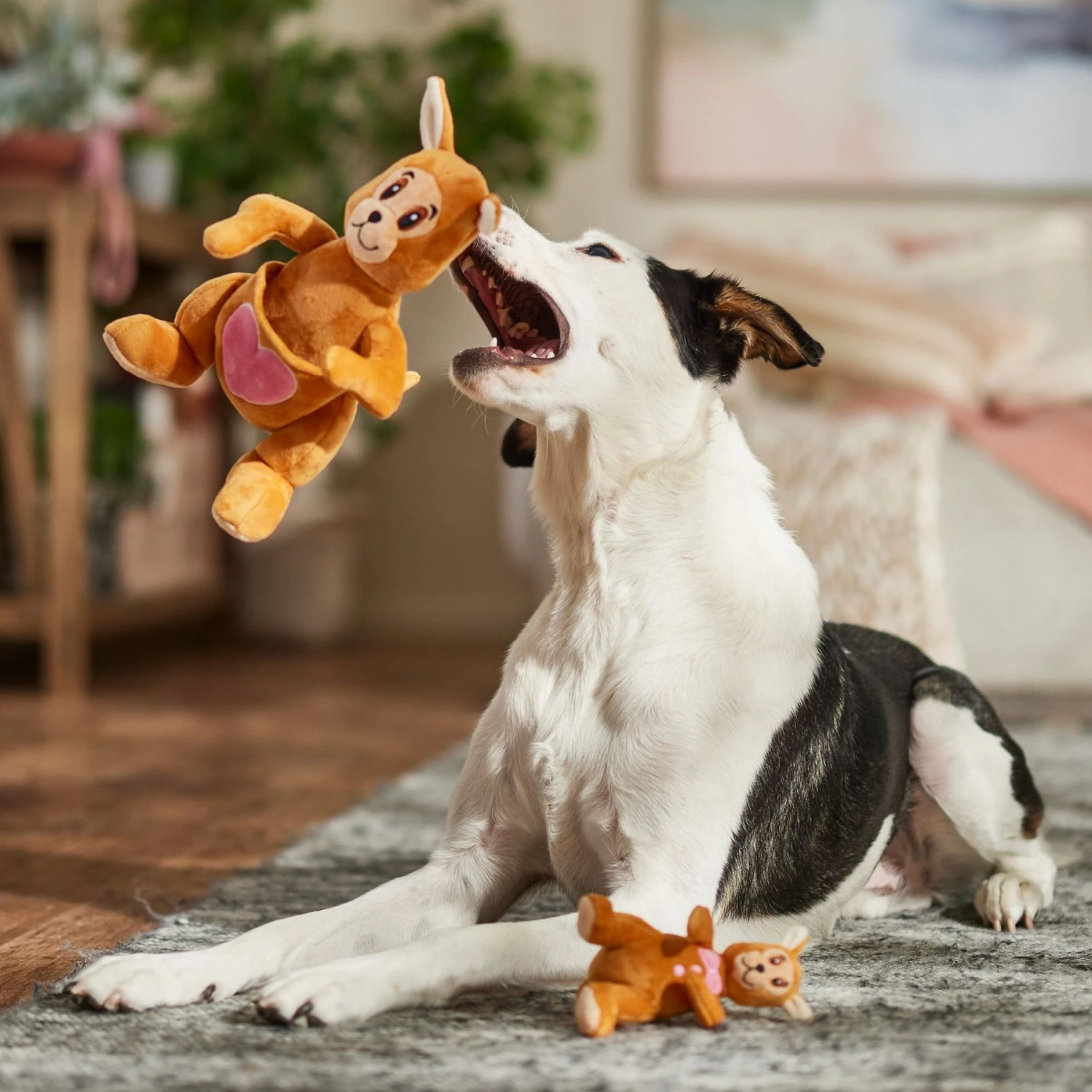 Frisco Valentine Kangaroo & Joey Plush Squeaky Dog Toy - Image 4