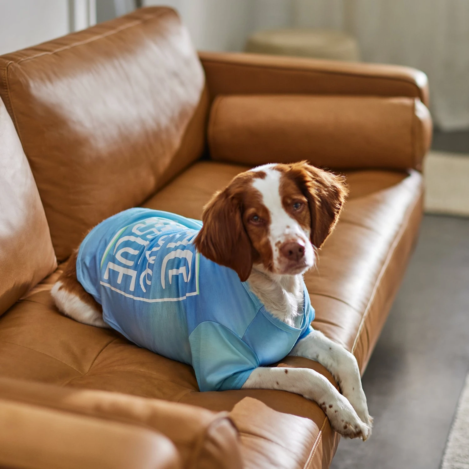 Frisco Peace Love Rescue Dog & Cat T-Shirt - Image 6