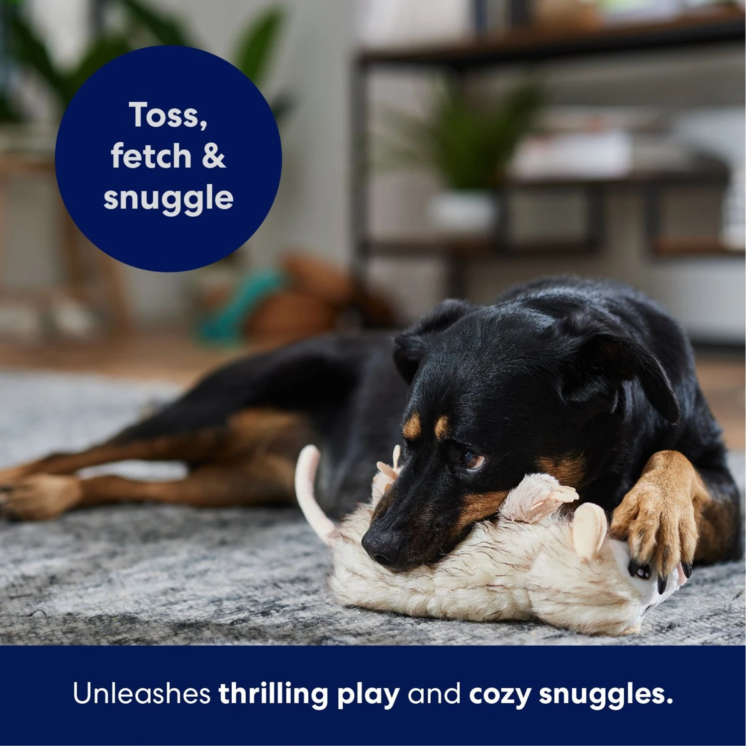 Frisco Realistic Opossum Plush Squeaky Dog Toy - Image 5