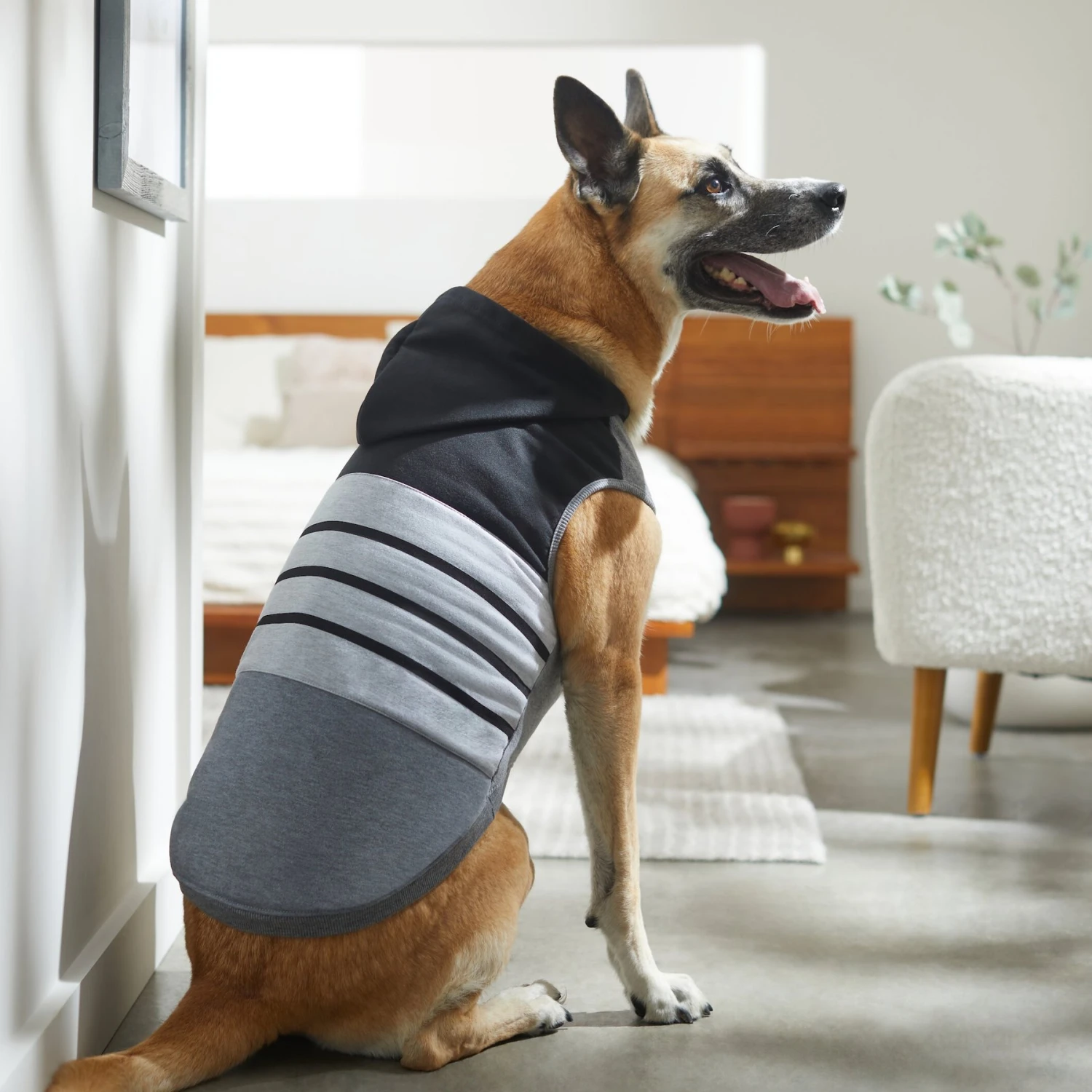 Frisco Gray Striped Dog & Cat Hoodie - Image 7