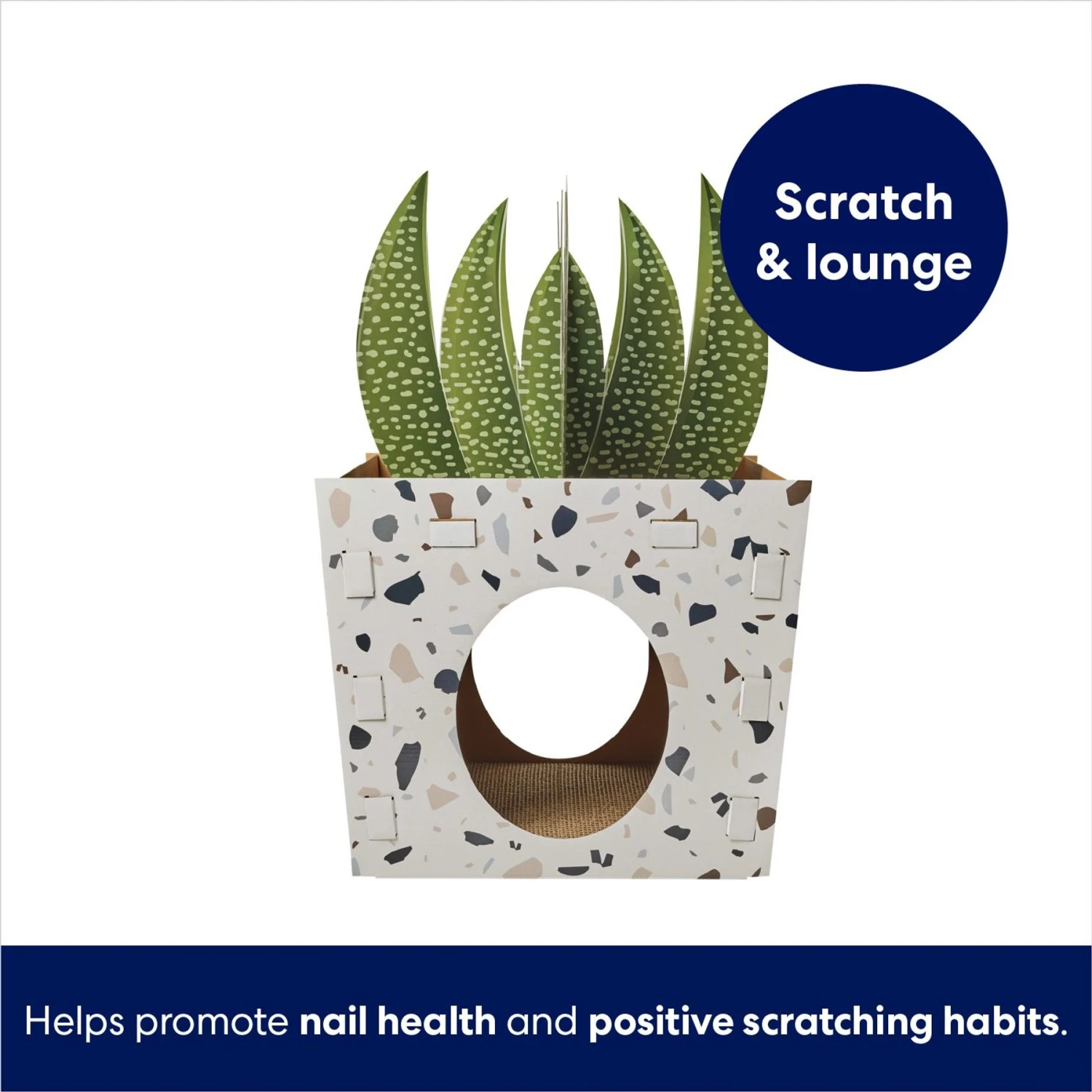 Frisco Potted Succulent Cardboard Cat House - Image 3