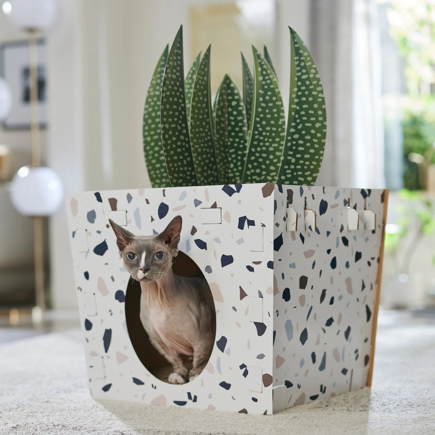 Frisco Potted Succulent Cardboard Cat House - Image 5