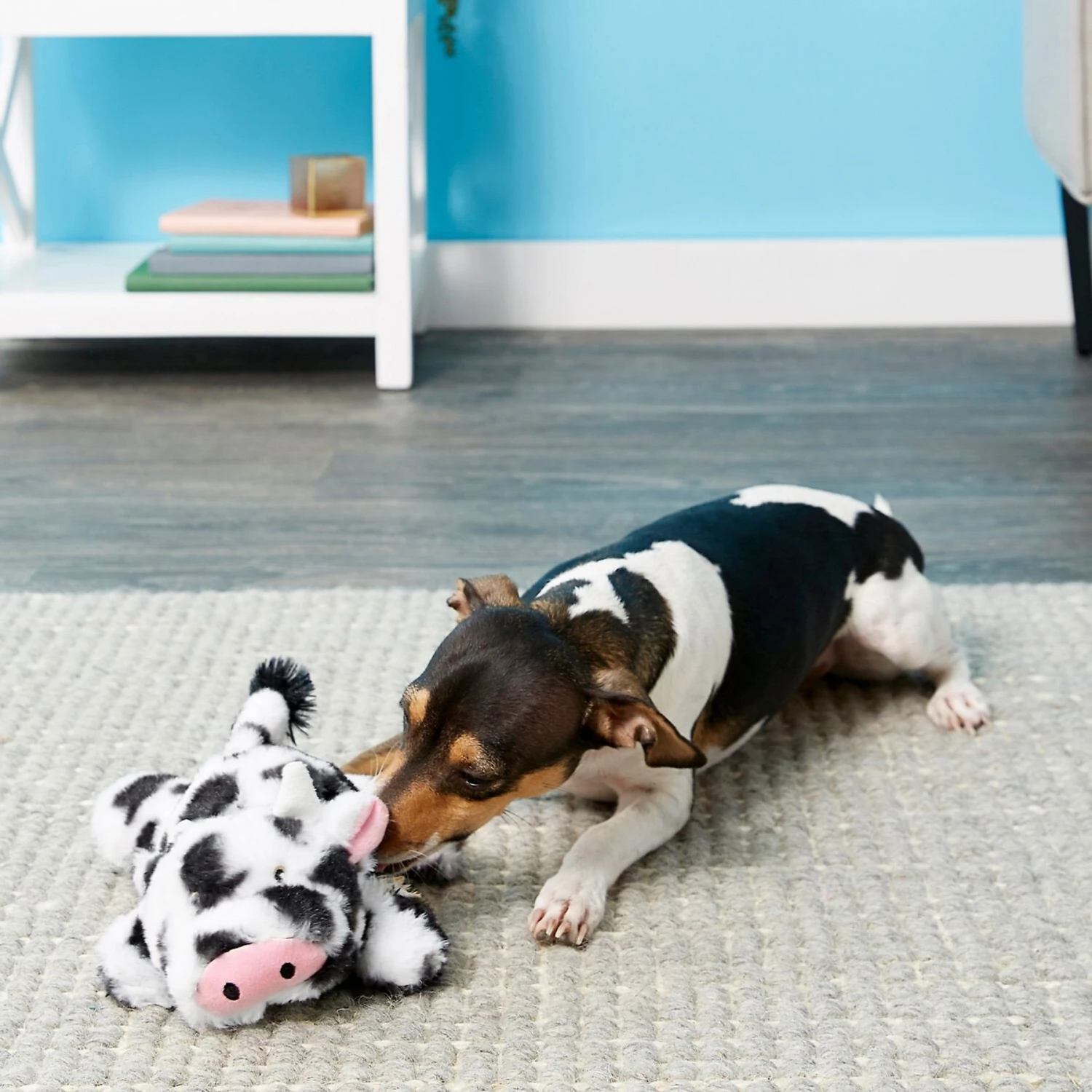 Frisco Cow Plush Squeaky Dog Toy & Playology Scented Dual Layer Ring Dog Toy - Image 4