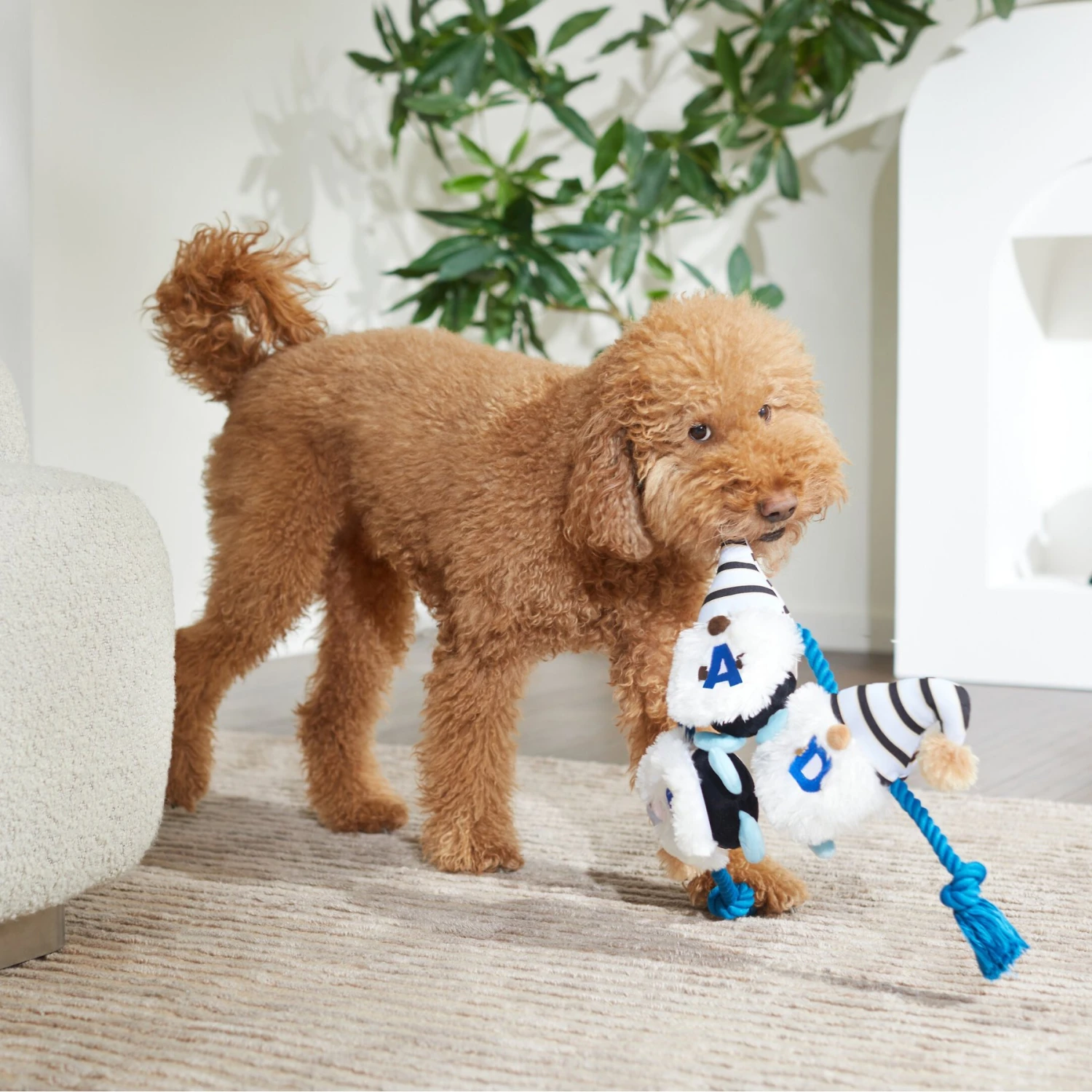 Frisco Dad Gnome Plush With Rope Dog Toy - Image 3