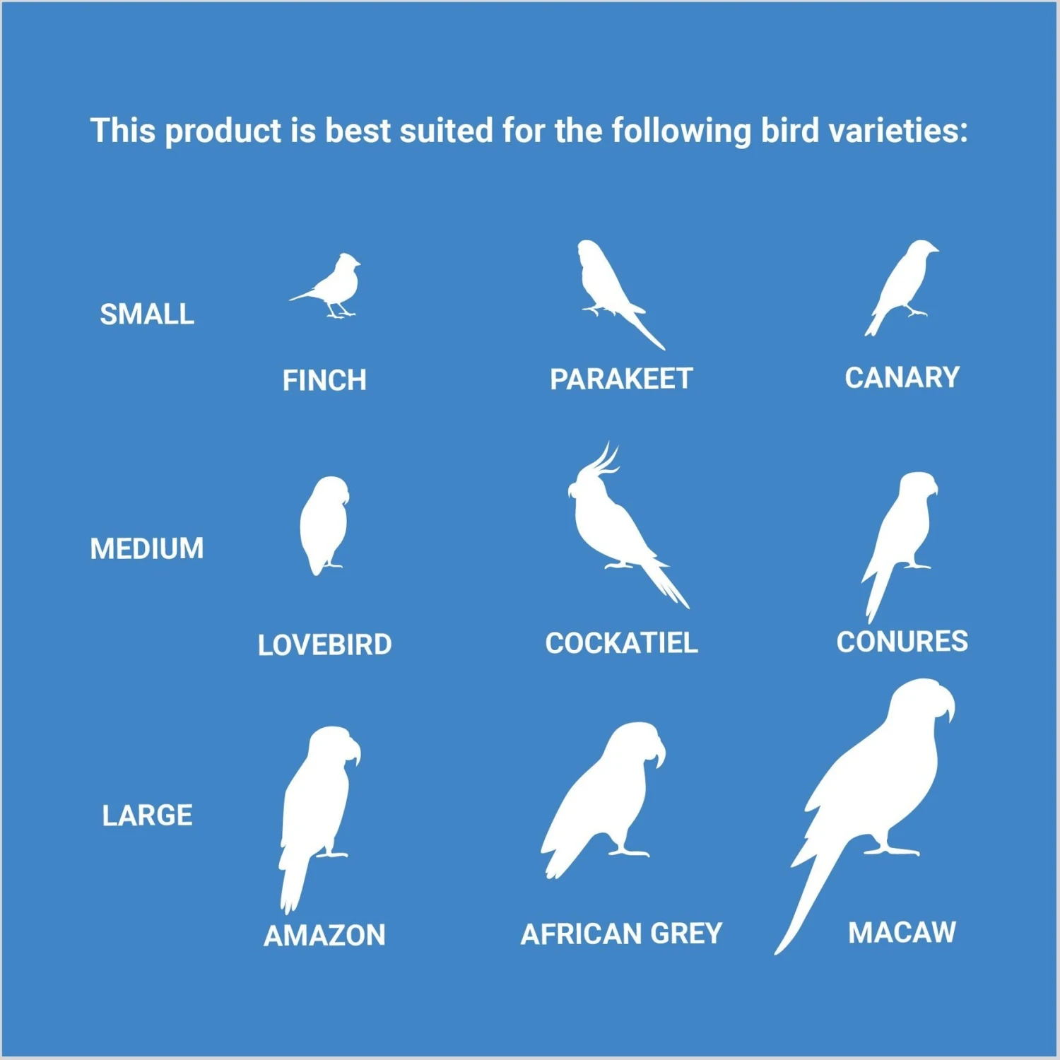 Frisco Twisted Fun Bird Toy - Image 4