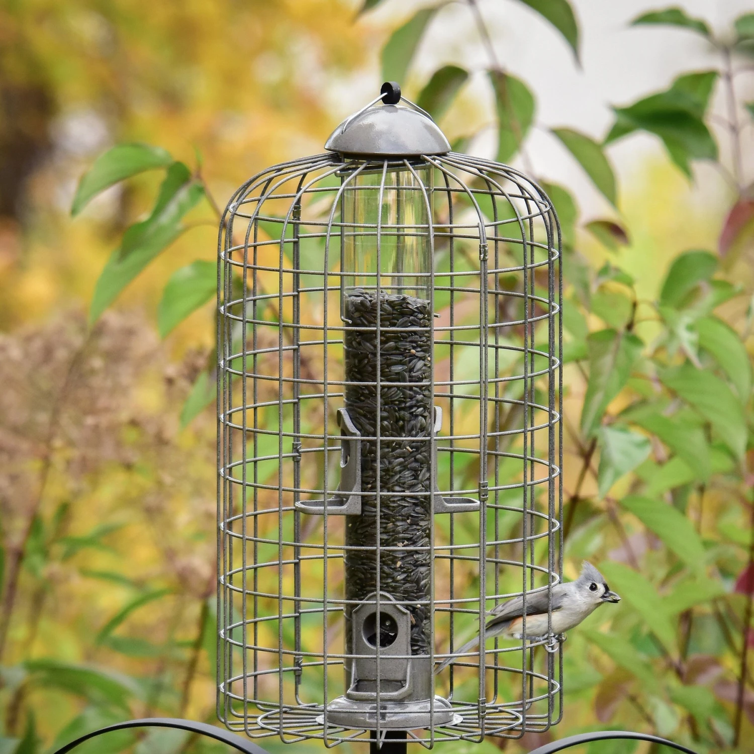 Frisco Ultra Squirrel Defense Wild Bird Feeder - Image 4