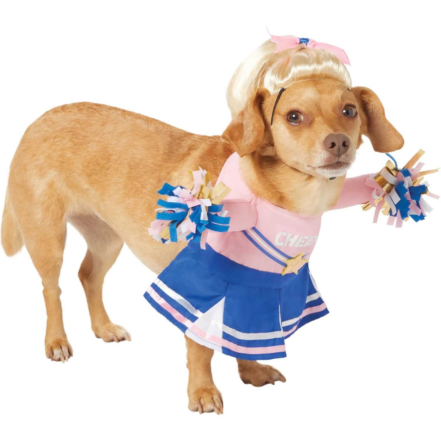Frisco Front Walking Cheerleader Dog & Cat Costume - Image 4