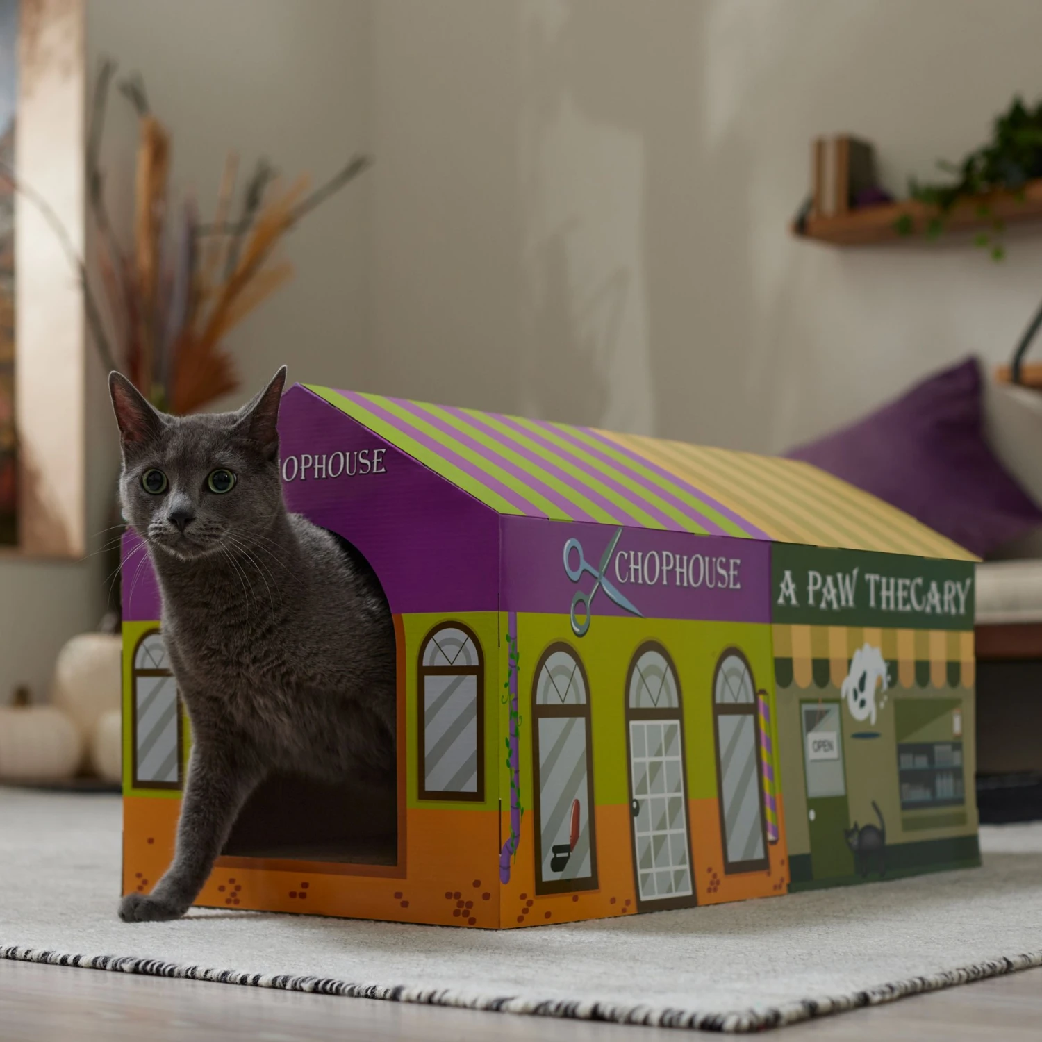 Frisco Halloween A-Paw-Thecary & Chop House Cardboard Cat House With Catnip - Image 4