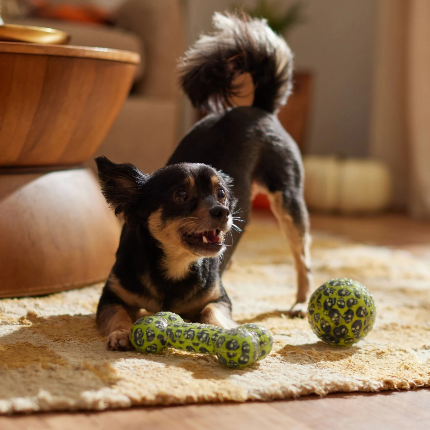 Frisco Halloween Glow In The Dark TPR Squeaky Bone & Ball Dog Toy - Image 4