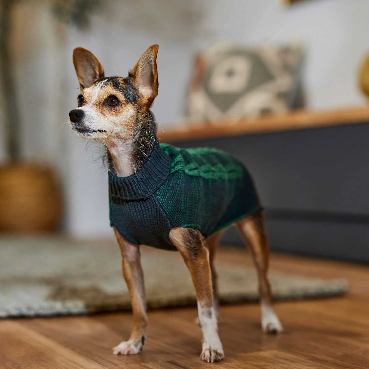 Frisco Multi Cable Dog & Cat Sweater - Image 5
