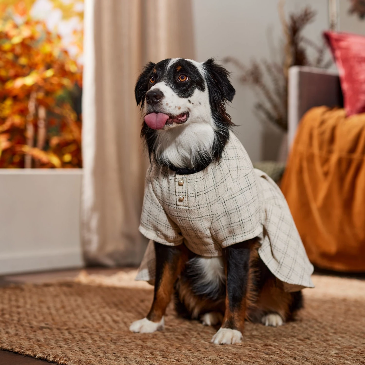 Frisco Tweed Weave Ruffle Skirt Dog & Cat Dress - Image 6