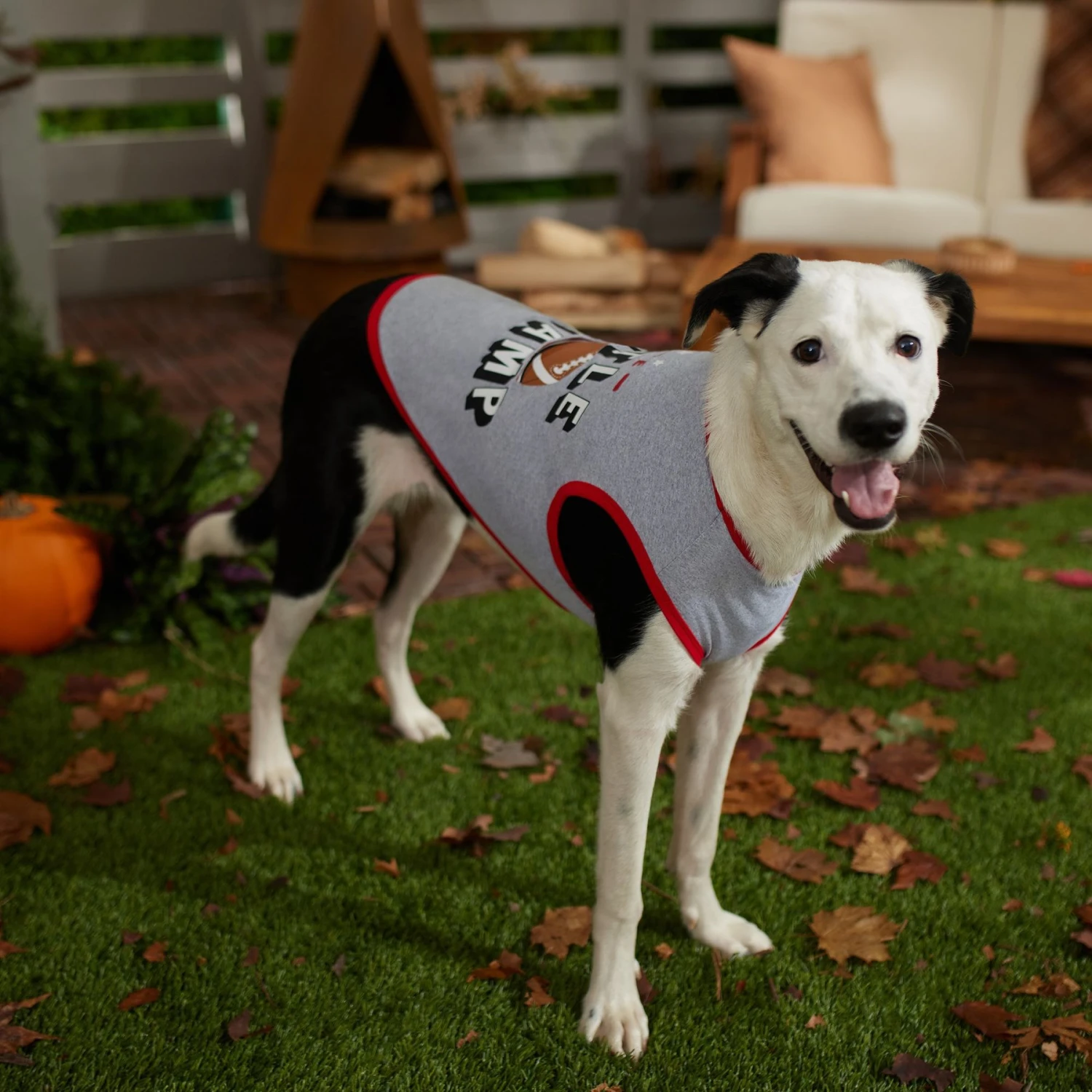 Frisco Little Champ Dog & Cat T-Shirt - Image 6