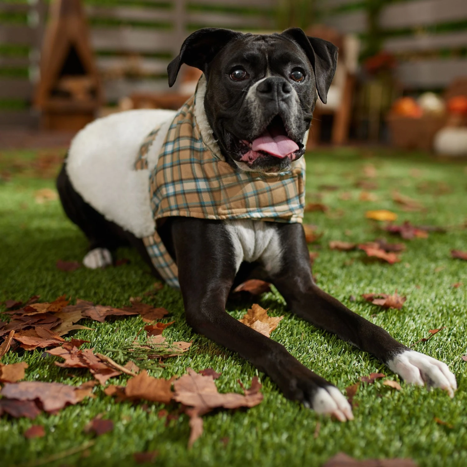 Frisco Lightweight Plaid Pocket Dog & Cat Coat - Image 7