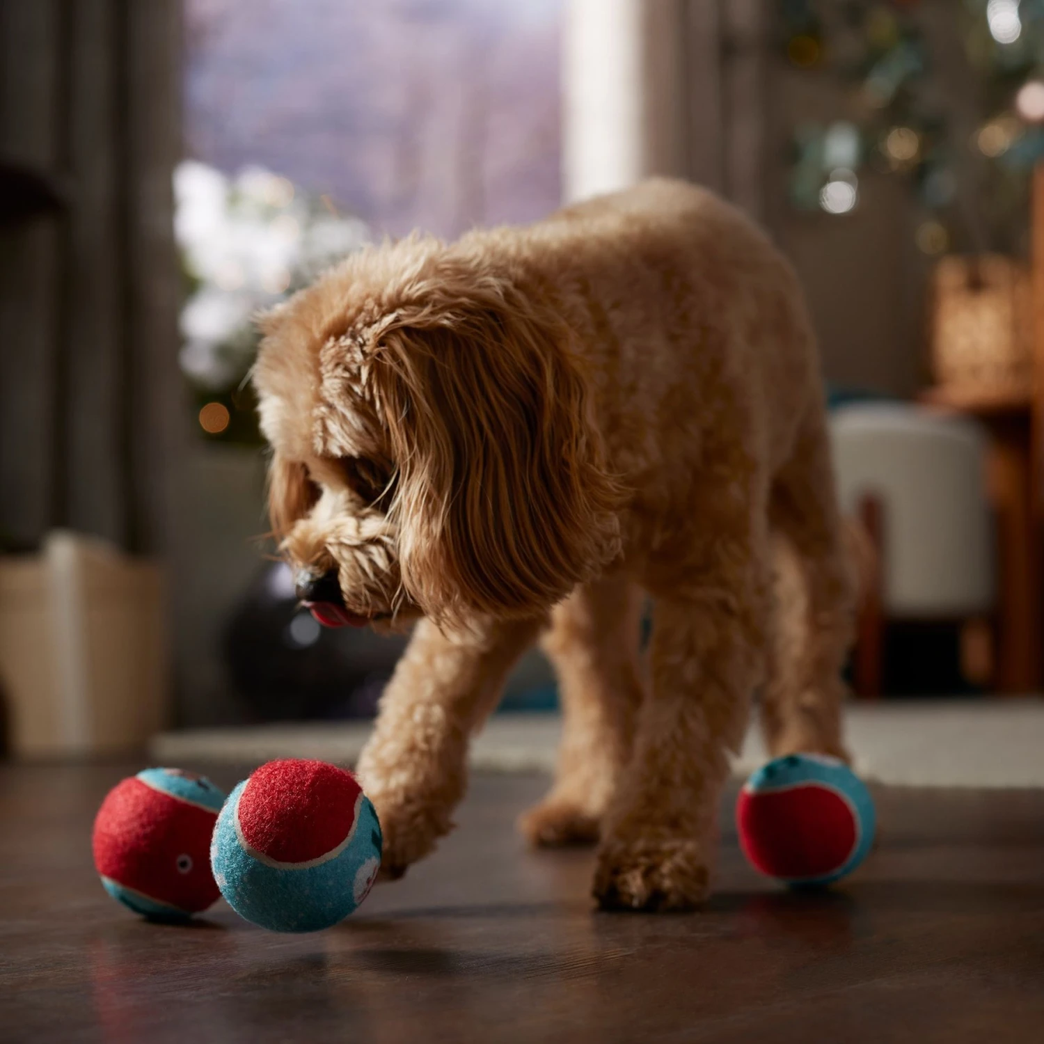 Frisco Holiday Ho Ho Ho Fetch Squeaky Tennis Ball Dog Toy - Image 3