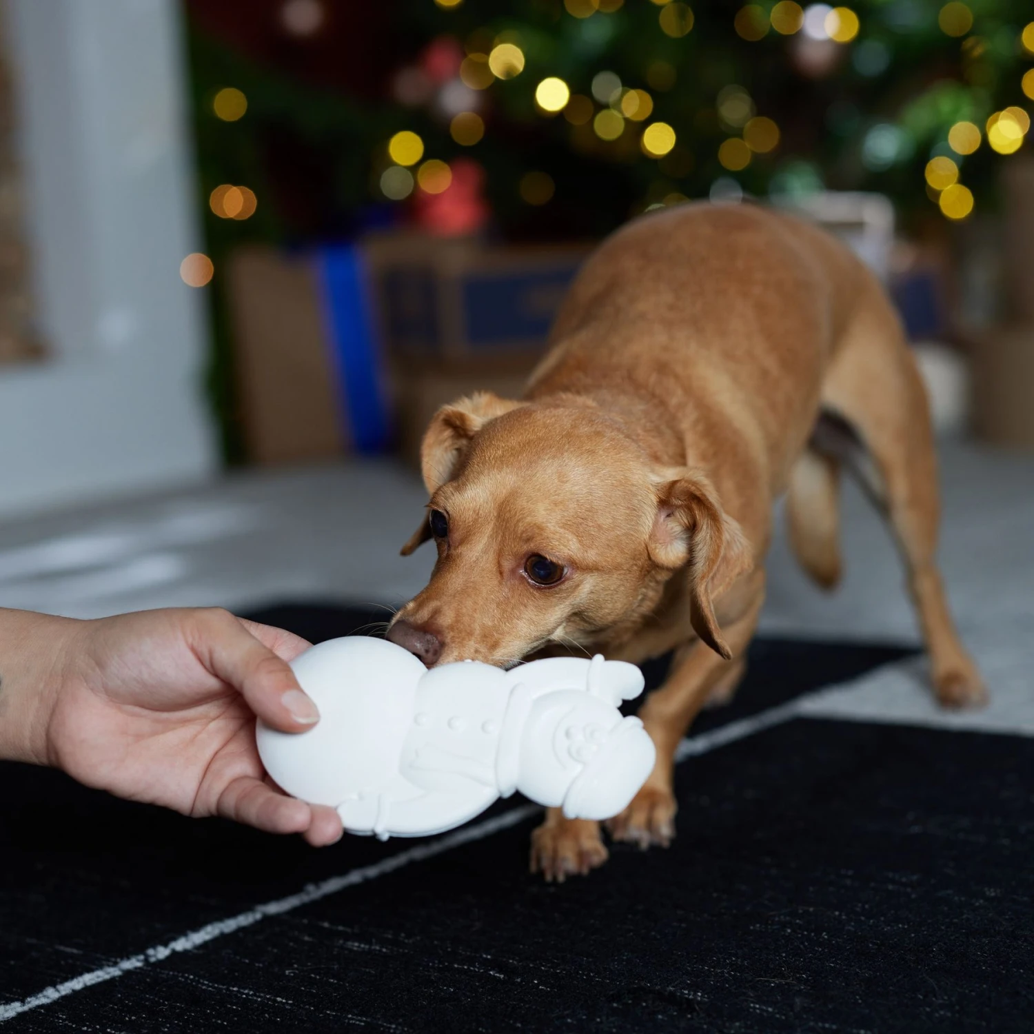 Frisco Nylon Snowman Dog Chew Toy, Mint Flavor - Image 3