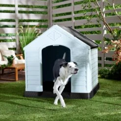 Frisco Plastic Outdoor Dog House With Elevated Platform