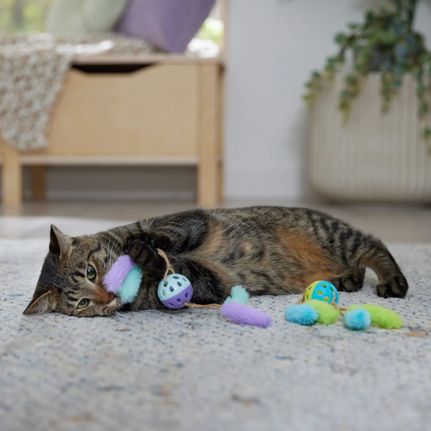 Frisco Fabric & Play Plastic Balls Cat Toy - Image 3