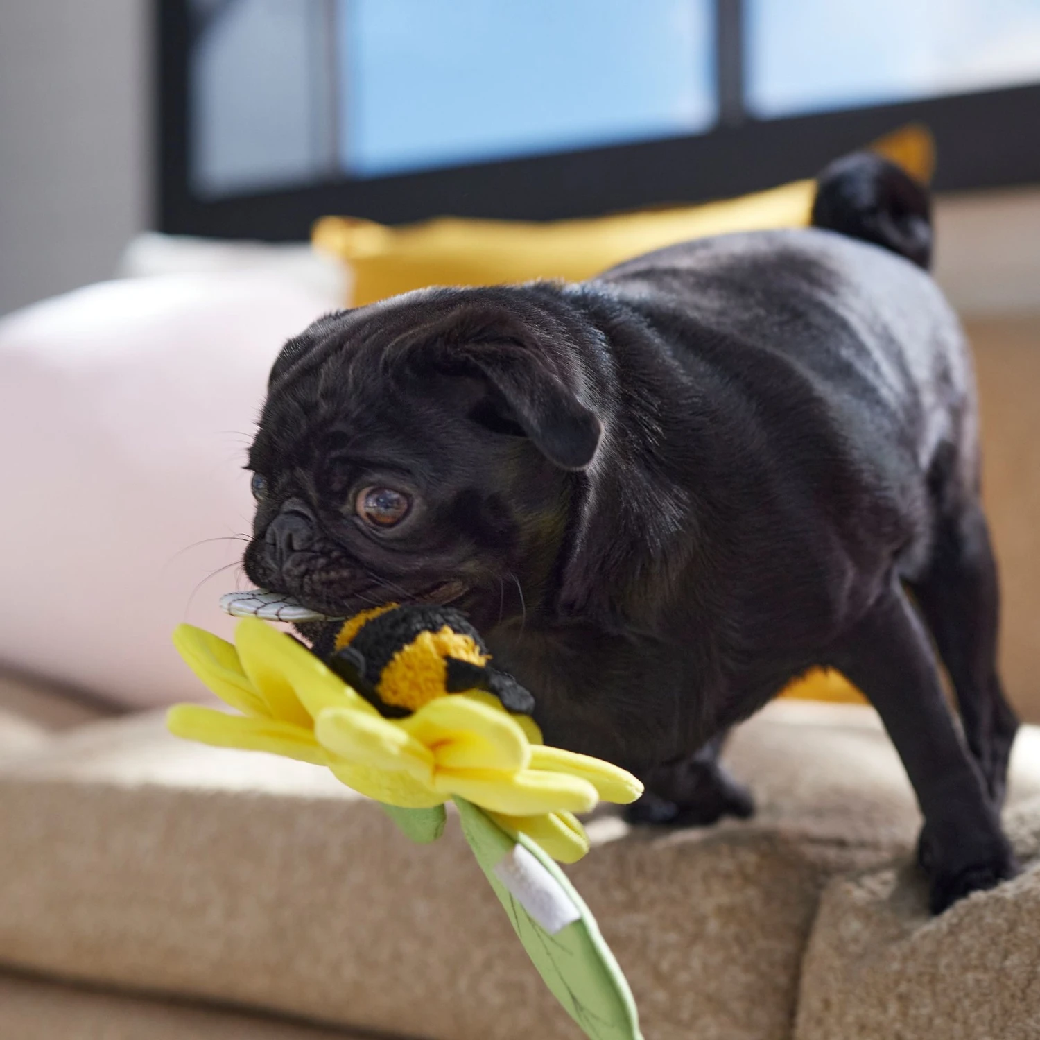 Frisco Spring Sunflower Plush Squeaky Dog Toy - Image 4