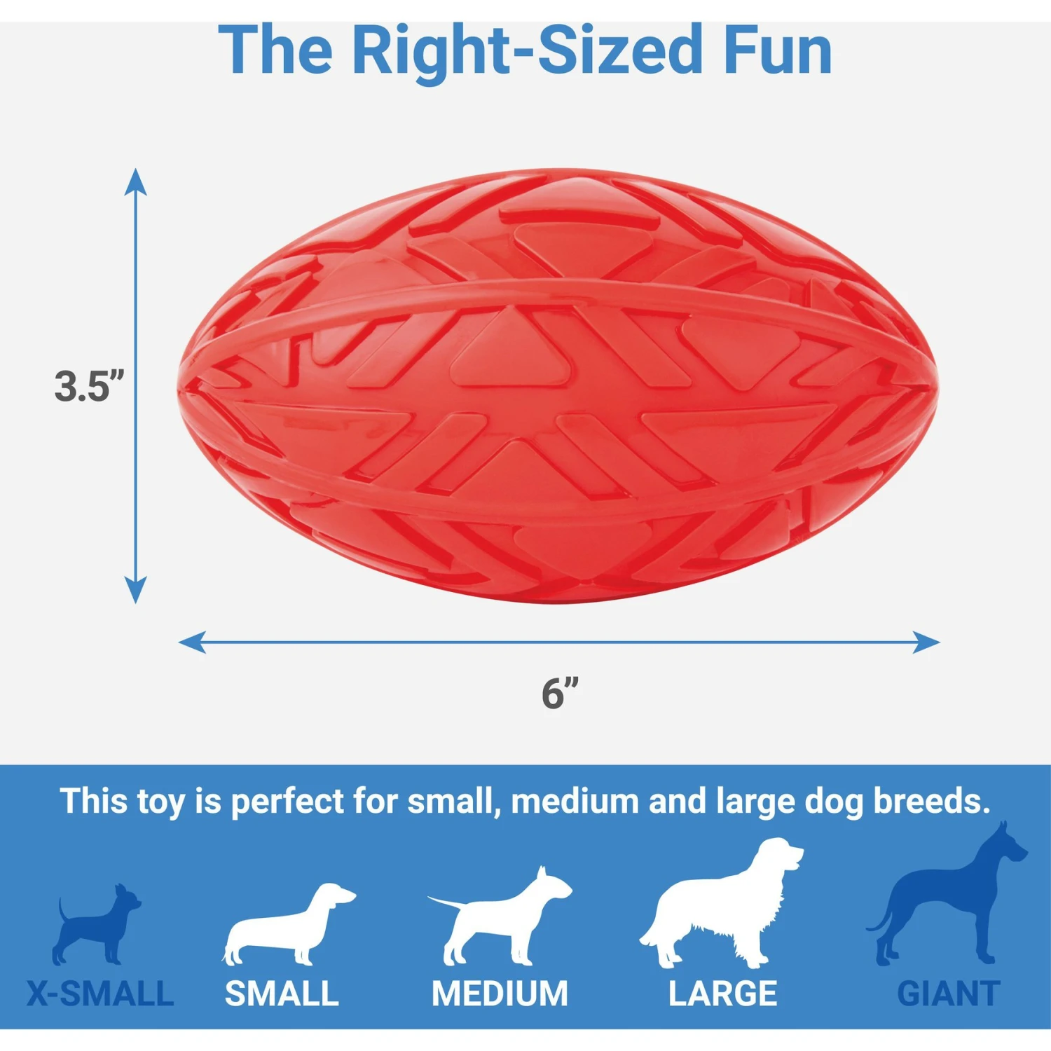 Frisco Dumbbell TPR Fetch Dog Toy + 3 Items - Image 5