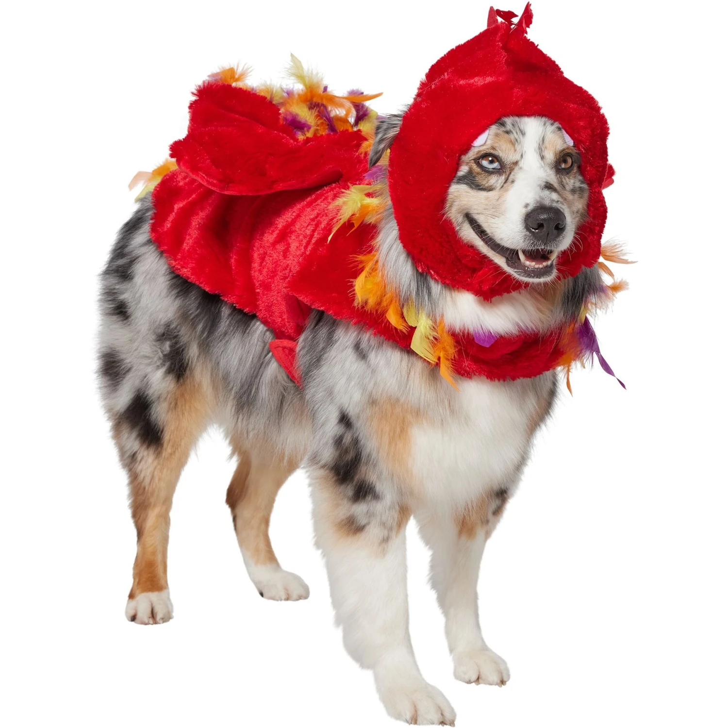 Frisco Flying Phoenix Dog & Cat Costume - Image 3