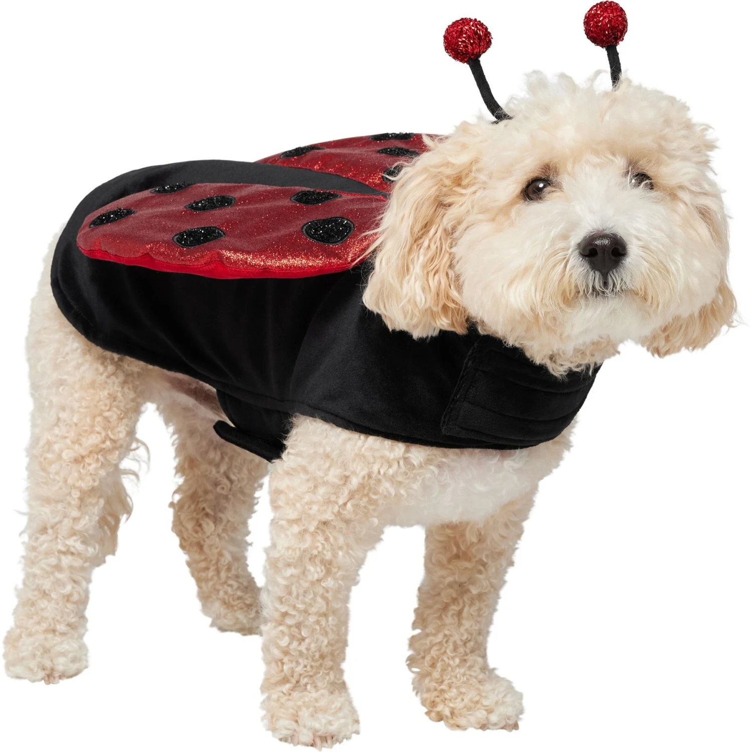 Frisco Glittered Ladybug Dog & Cat Costume