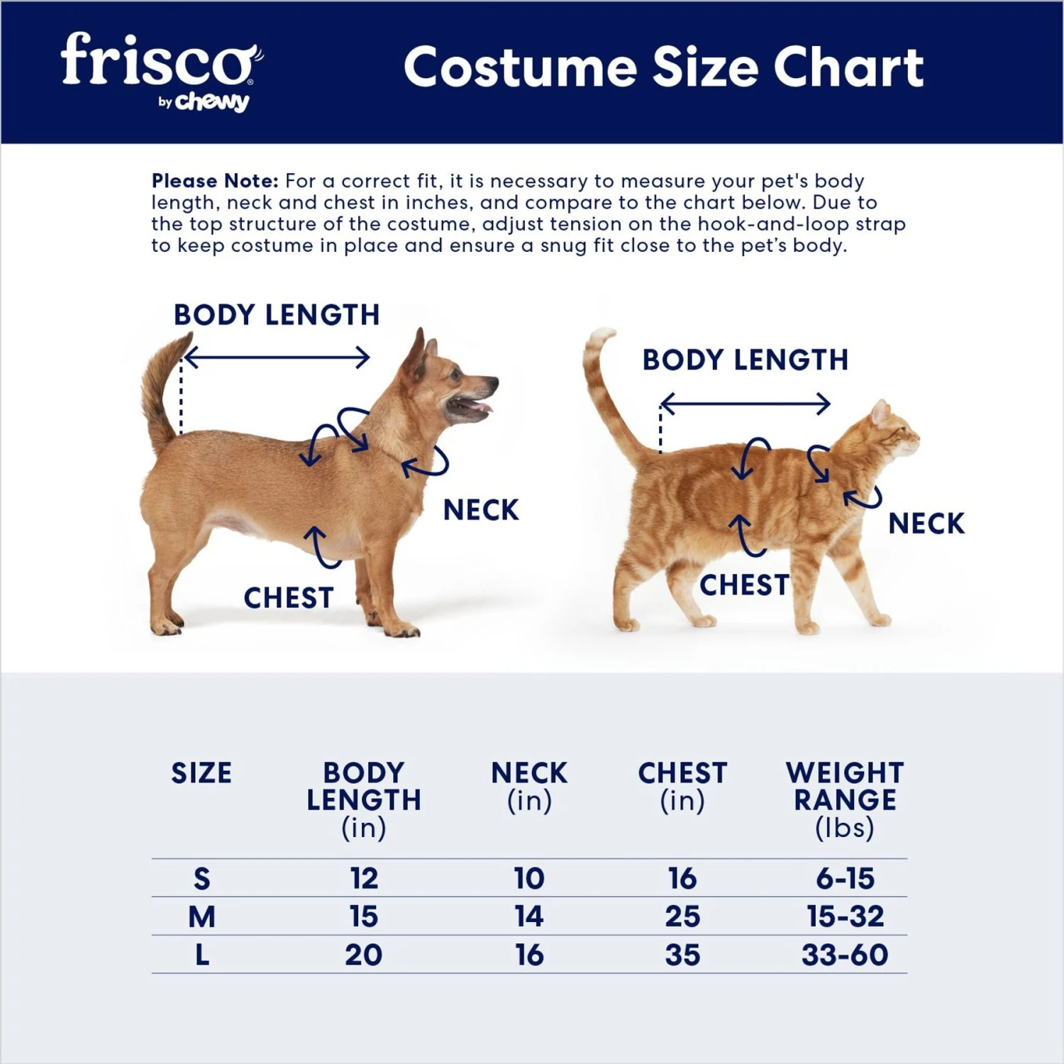 Frisco Pumpkin Cat Ride-On Dog & Cat Costume - Image 2