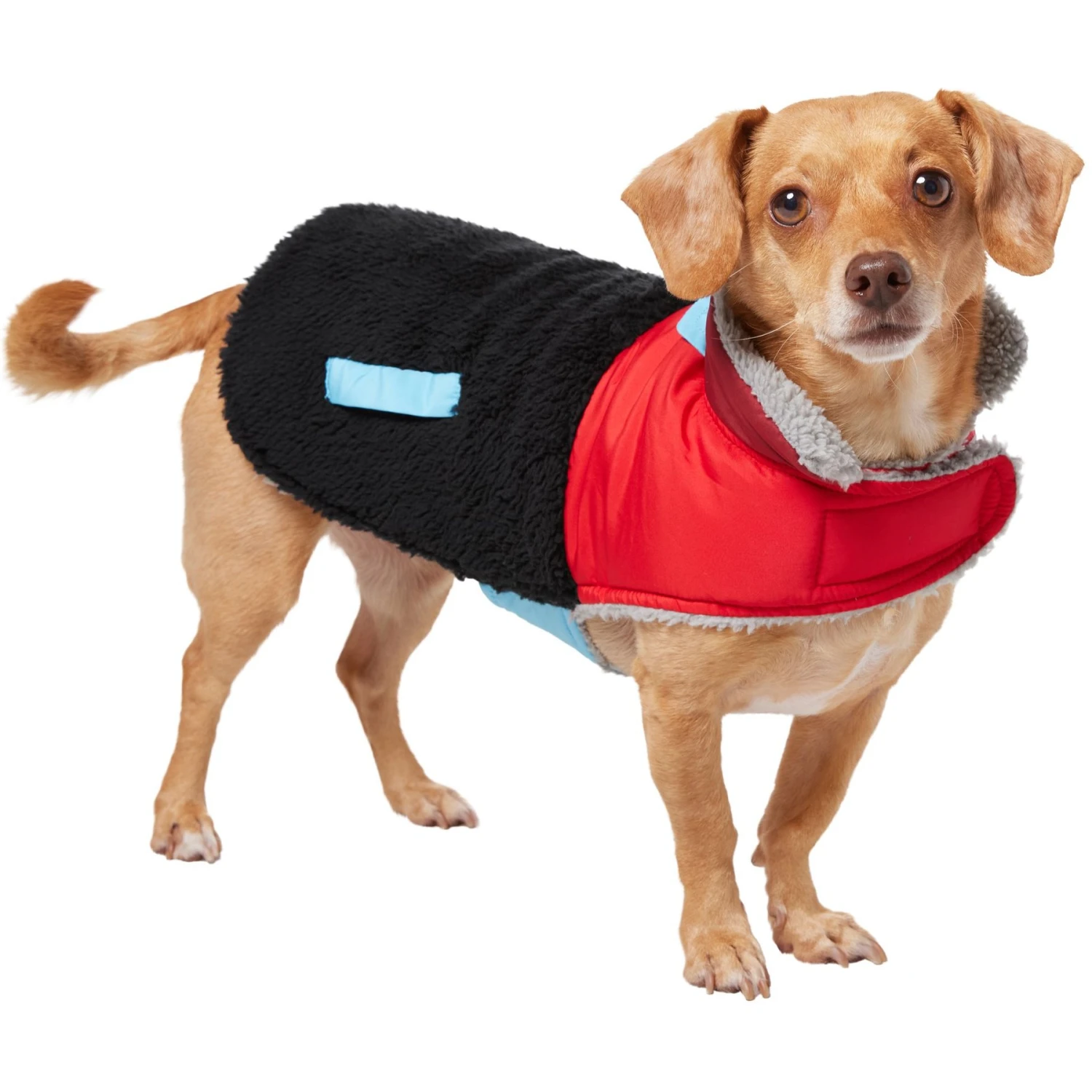 Frisco Medium Weight Retro Colorblock Mixed Media Dog & Cat Coat - Image 3