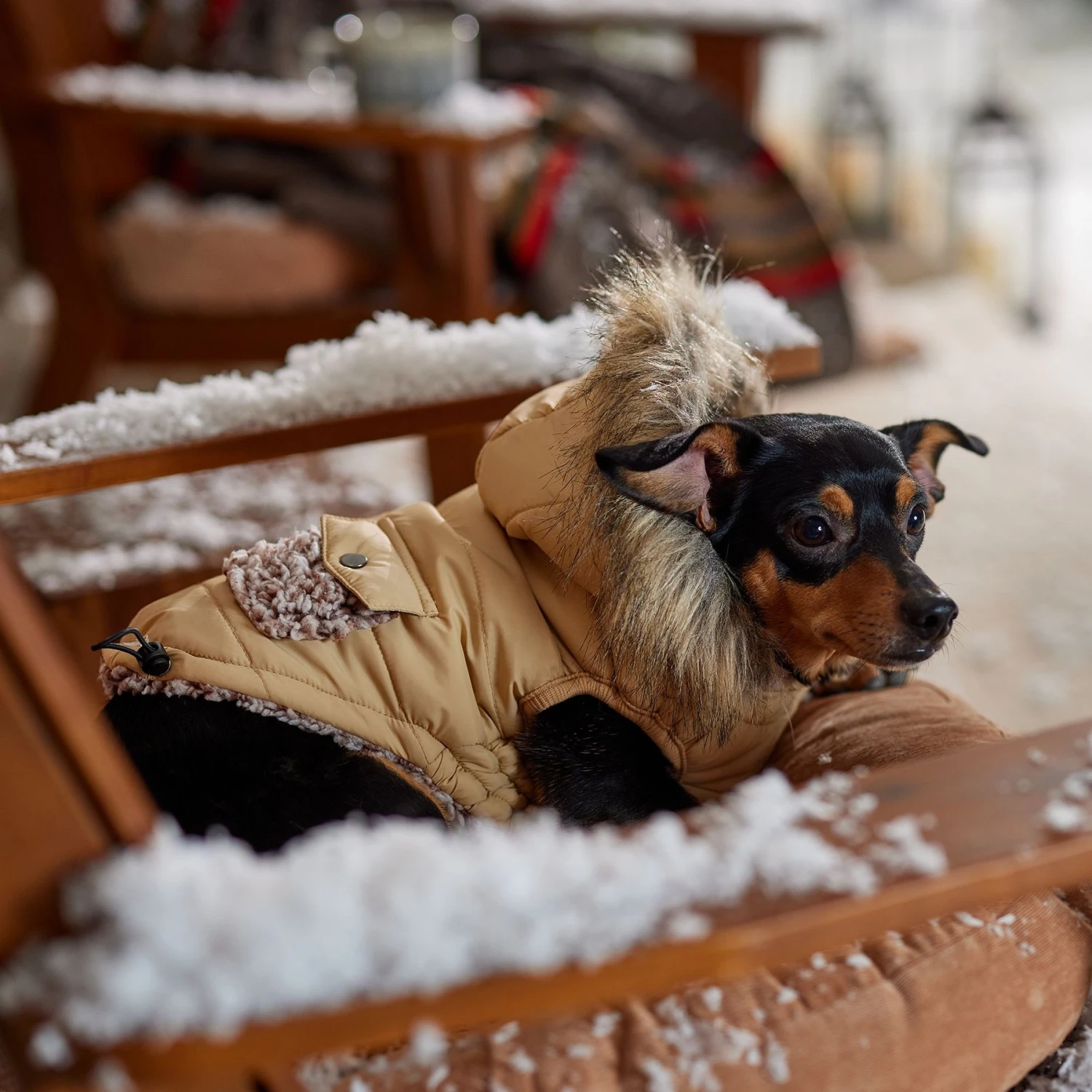 Frisco Heavy Weight Matte Quilted Dog & Cat Parka With Cozy Fleece Lining - Image 8