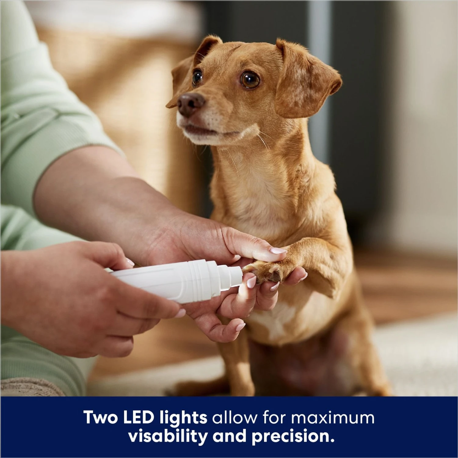 Rechargeable Cordless Cat & Dog 3-Speed Nail Grinder, White - Image 5