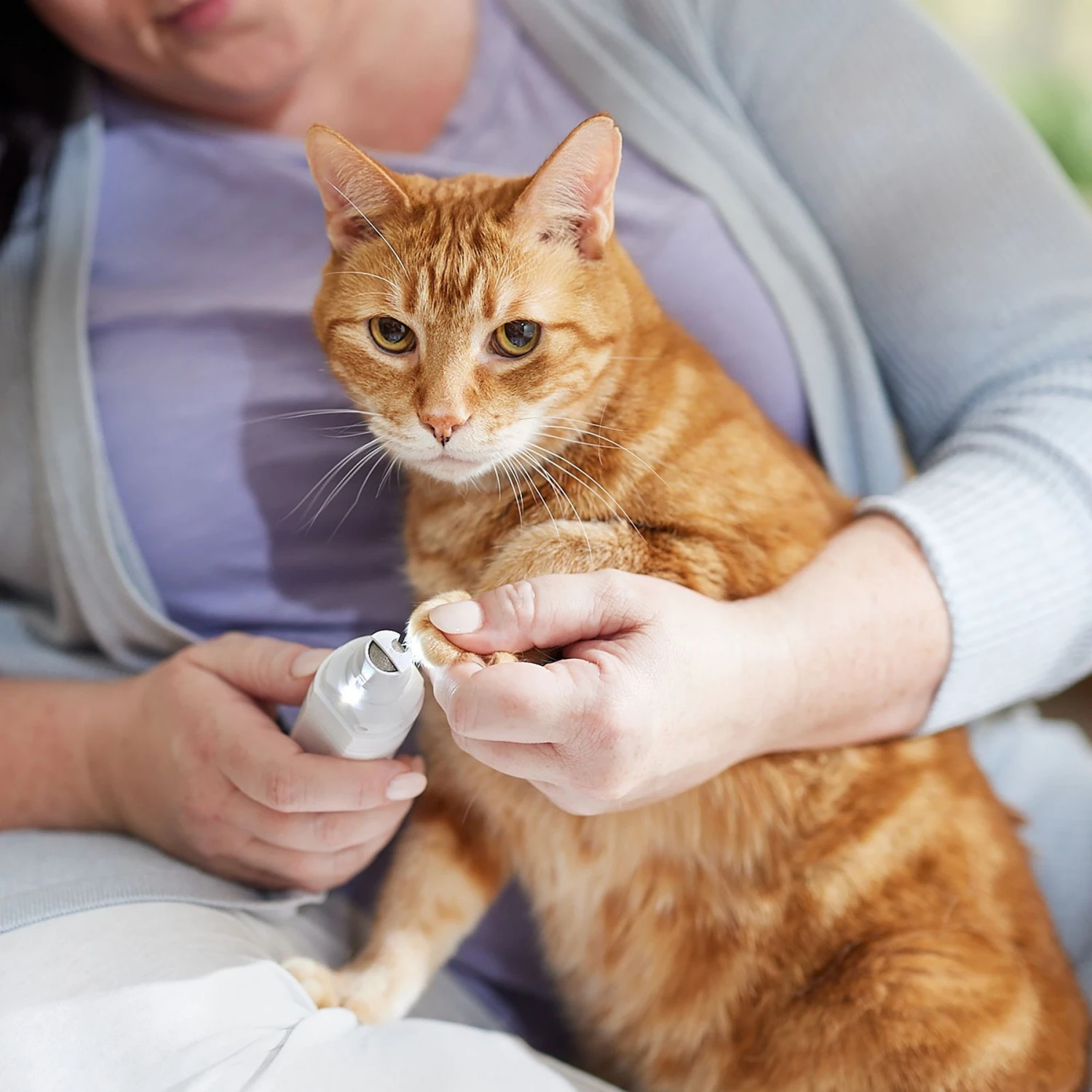 Rechargeable Cordless Cat & Dog 3-Speed Nail Grinder, White - Image 6