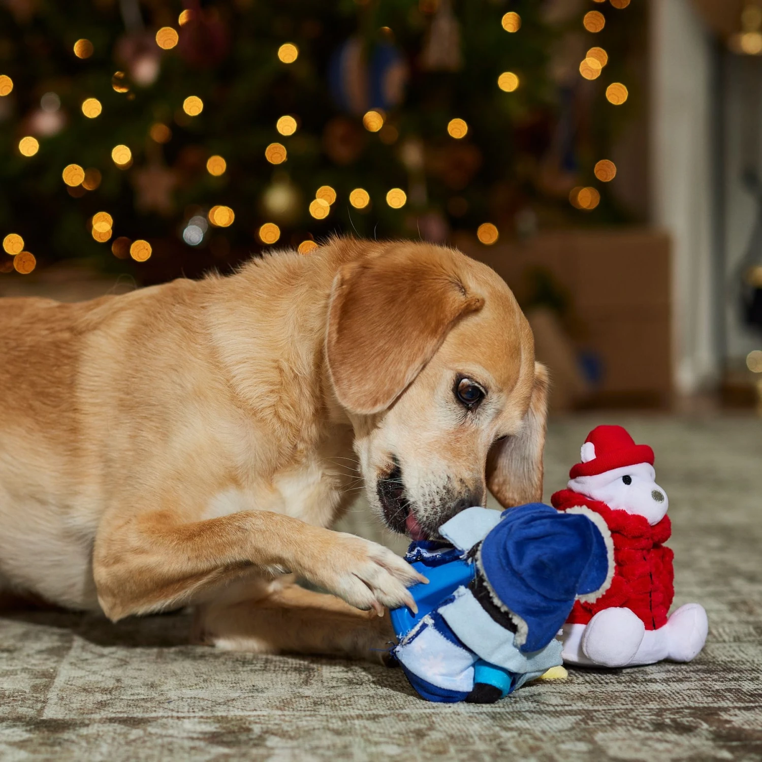 Frisco Holiday Arctic Buddies 2-in-1 Rip For Surprise Plush & Rubber Dog Toy - Image 4