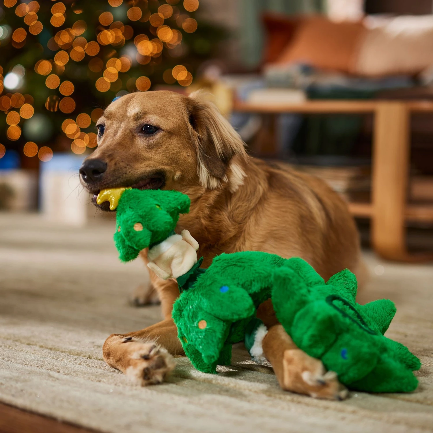 Frisco Holiday Elf In A Tree Bungee Plush Squeaky Dog Toy - Image 4