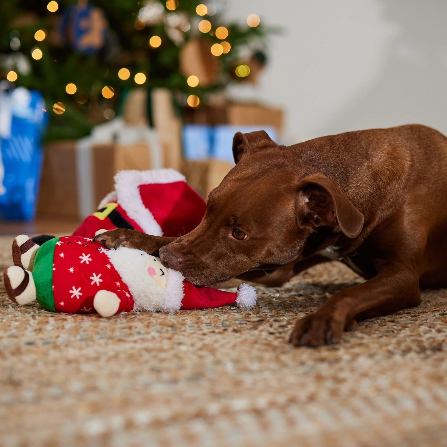 Frisco Holiday Santa On Vacation 2-in-1 Plush Squeaky Dog Toy - Image 4