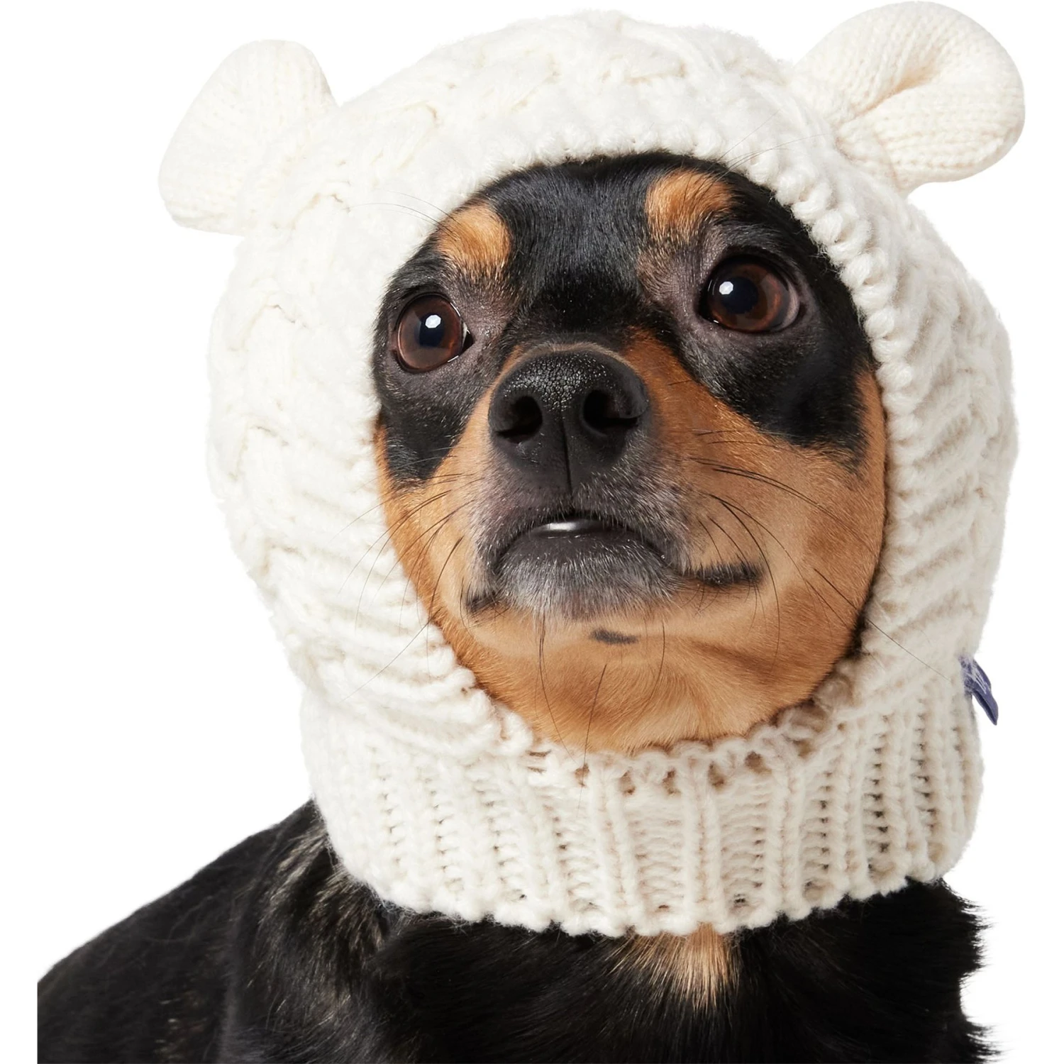 Frisco Polar Bear Sweater Knit Dog & Cat Hat - Image 3